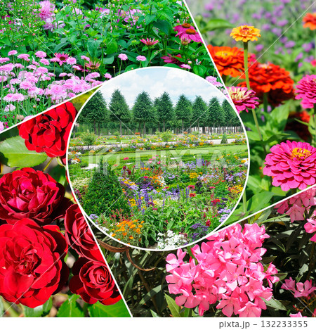 Floral Collage: A Beautiful Mix of Garden Flowers and a Central Park Scene. 132233355