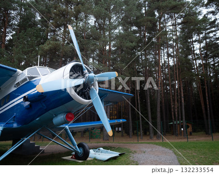 historic blue biplane resting among pine trees, classic blue biplane situated among pine trees at museum grounds, vintage blue biplane parked peacefully amidst towering pine trees at museum 132233554