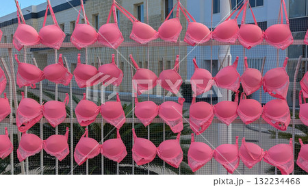 Breast cancer awareness symbol with pink bras tied to metal fence in daylight, emphasizing repetition and pattern. October is Breast Cancer Awareness Month Breast cancer awareness symbol with pink bras tied to metal fence in daylight, emphasizing repetition and pattern. October is Breast Cancer Awareness Month 132234468