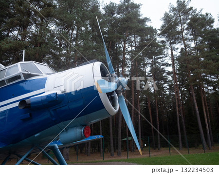 blue vintage propeller plane nose closeup with radial engine and park background, pine forest museum setting, overcast sky, worn paint and riveted metal conveying heritage and nostalgia 132234503