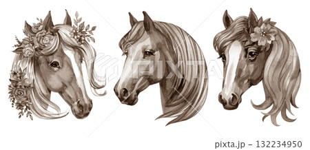 set of cute horse watercolor illustrations for printing on baby clothes, sticker, postcards, baby showers, games and books set of cute horse watercolor illustrations for printing on baby clothes, sticker, postcards, baby showers, games and books 132234950