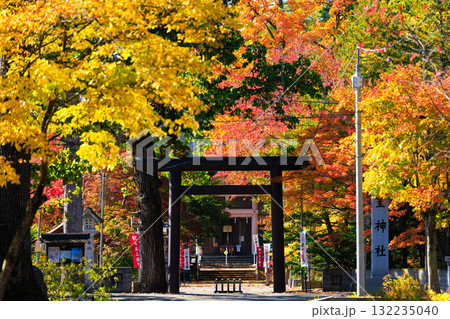 神社と紅葉 神社と紅葉 132235040
