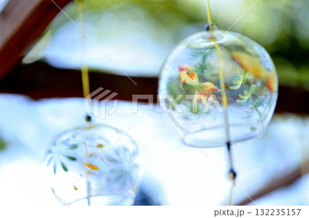 ふうりん祭り 132235157