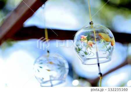 ふうりん祭り 132235160