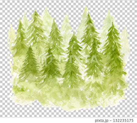 Bright green gradient watercolor illustration of textured coniferous fir forest. Misty evergreen watercolour pine trees print for winter Christmas design, poster, decor element, sticker 132235175