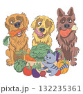 Dogs and cat with vegetables vector illustration 132235361