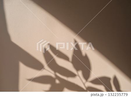 Leaf Shadows on Wall in Natural Light 132235779