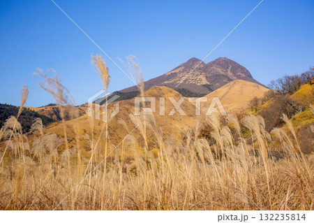 由布岳と冬枯れの草原 由布岳と冬枯れの草原 132235814