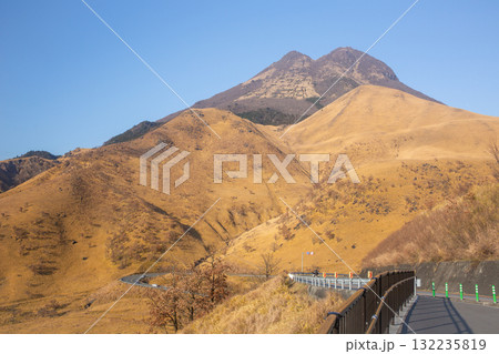 由布岳と冬枯れの草原 132235819
