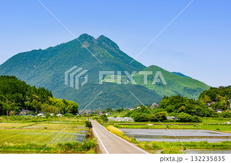 由布岳と田植えの終わった新緑の湯布院 由布岳と田植えの終わった新緑の湯布院 132235835