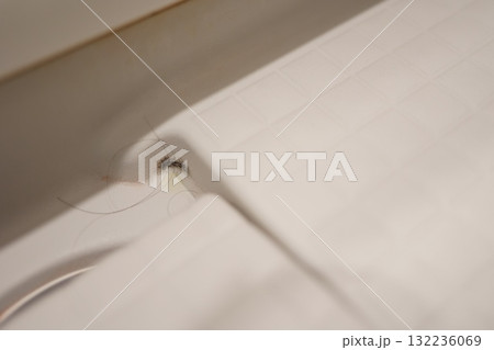 お風呂の排水口の隅に発生した黒カビ。 お風呂の排水口の隅に発生した黒カビ。 132236069