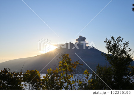 噴火をする桜島と初日の出 132236196