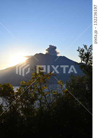 初日の出と桜島の噴火 132236197