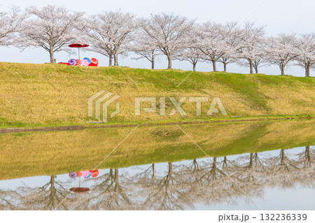 春の兵庫県小野市　おの桜づつみ回廊 132236339