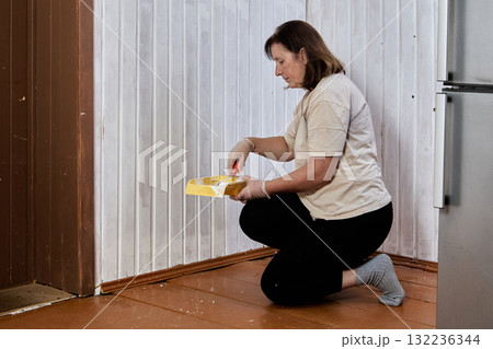 Initial layer of paint appears to be proceeding along tongue and groove wall paneling, painter kneels on floor and rolls white paint over vertical boards. Initial layer of paint appears to be proceeding along tongue and groove wall paneling, painter kneels on floor and rolls white paint over vertical boards. 132236344