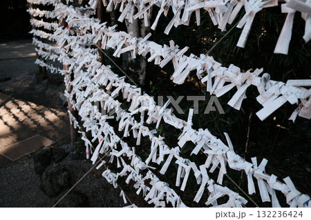 お祈りするおみくじ 132236424