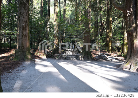 パワースポットの山神社 132236429