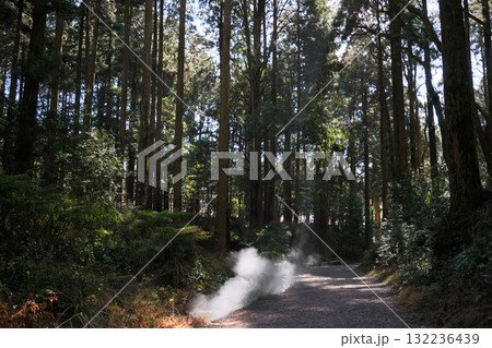山神社に続く参道の風景 132236439
