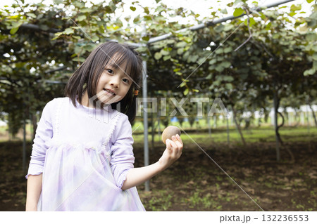 キウイフルーツを収穫するかわいい女の子 132236553