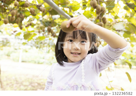 キウイフルーツを収穫するかわいい女の子 キウイフルーツを収穫するかわいい女の子 132236582