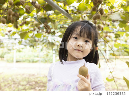 キウイフルーツを収穫するかわいい女の子 キウイフルーツを収穫するかわいい女の子 132236583