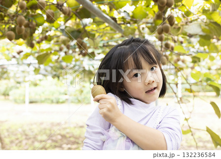 キウイフルーツを収穫するかわいい女の子 キウイフルーツを収穫するかわいい女の子 132236584