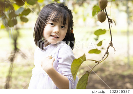キウイフルーツを収穫するかわいい女の子 キウイフルーツを収穫するかわいい女の子 132236587