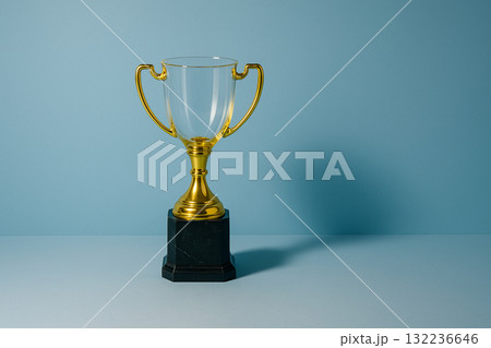 虚栄と幻想を映す透明なトロフィー 132236646