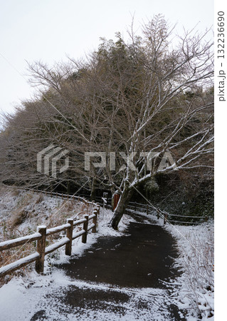 関吉の疎水溝の冬の遊歩道 関吉の疎水溝の冬の遊歩道 132236690