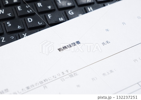 転職活動に欠かせない職務経歴書 転職活動に欠かせない職務経歴書 132237251