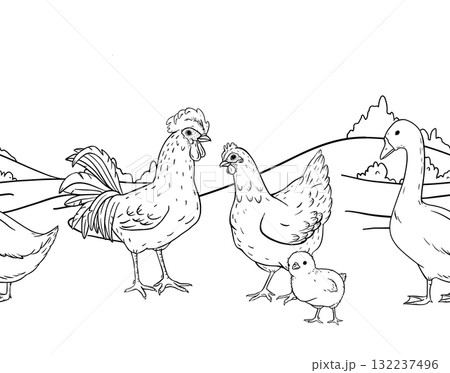 Ink line art seamless border of countryside farm with hens and rooster walking across an open rural field. Ideal for packaging, textile prints, children books, wrapping rustic branding projects. 132237496
