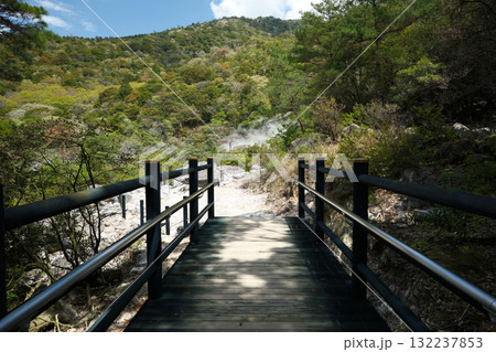蒸気が沸く八幡地獄の入り口 132237853
