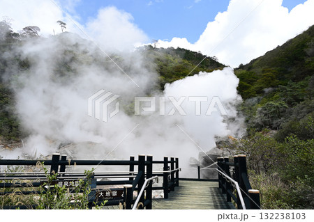 遊歩道から見る栗野岳八幡大地獄の自然風景 遊歩道から見る栗野岳八幡大地獄の自然風景 132238103