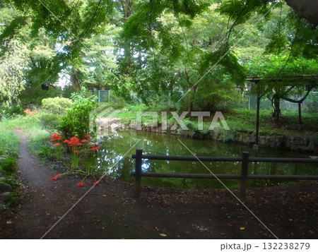 浴恩館公園 132238279