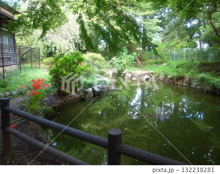 浴恩館公園 132238281