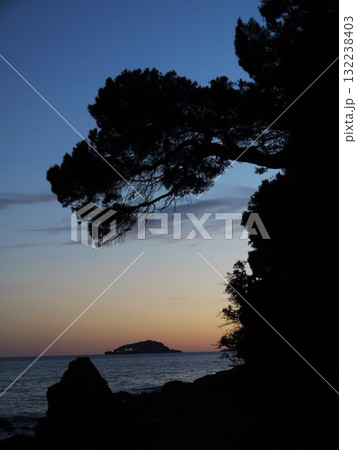 Tree is silhouetted against the sky, with the sun setting in the background 132238403