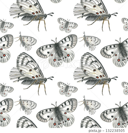 Flying white butterflies , seamless pattern, watercolor illustration isolated on transparent background. For textiles, fabrics, and wallpaper 132238505