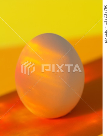 A white egg is sitting on a yellow surface 132238760