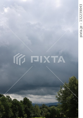 Cloudy sky with a few trees in the background 132239043