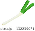 ねぎのイラスト 132239071
