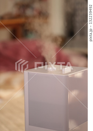リビングに置いてあるハイブリット式の加湿器 132239492
