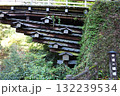 甲斐の猿橋の四層のはねぎ 132239534