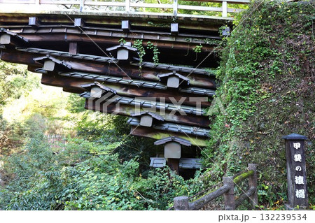 甲斐の猿橋の四層のはねぎ 甲斐の猿橋の四層のはねぎ 132239534