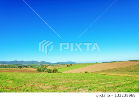 北海道　夏の青空と美瑛の風景 132239969
