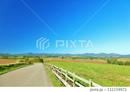 北海道　夏の青空と美瑛の風景 132239972