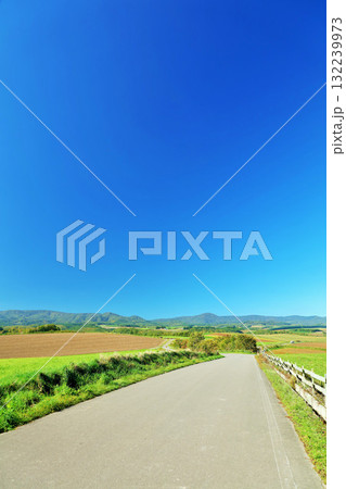 北海道　夏の青空と美瑛の風景 132239973