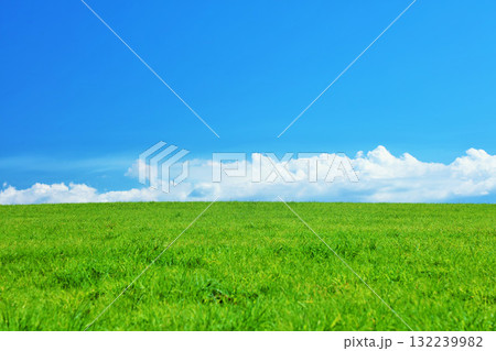 北海道　夏の青空と新緑の草原風景 132239982