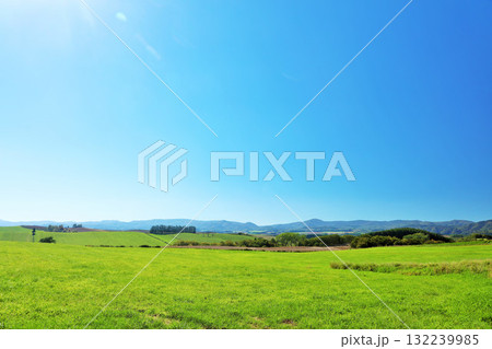北海道 夏の青空と新緑の草原風景 北海道 夏の青空と新緑の草原風景 132239985