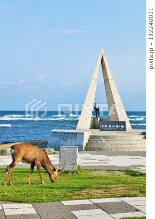 北海道　青空と海の宗谷岬　そしてエゾシカ 132240011