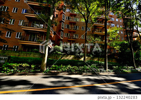 初秋の木漏れ日のさす並木道　広尾の高級マンション 132240283